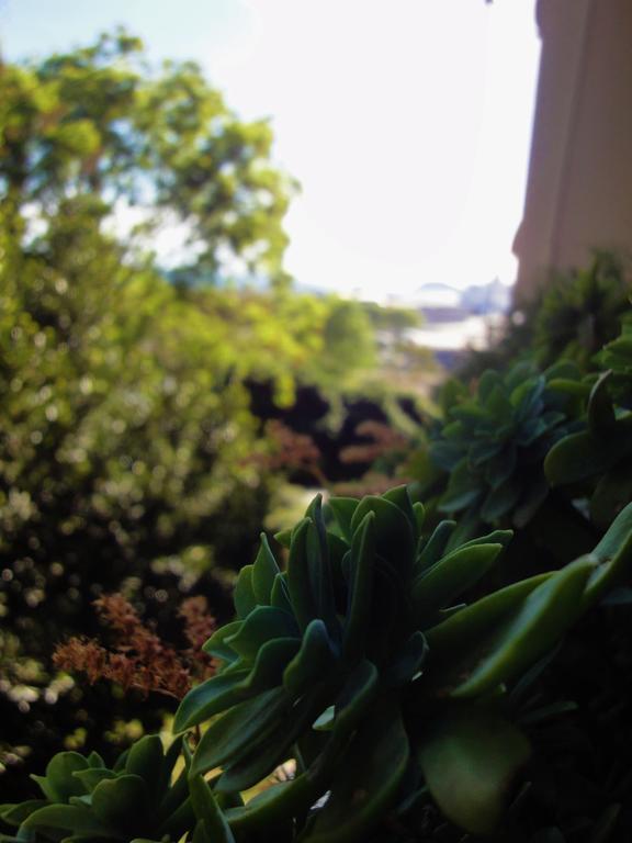 Apartman Orsula Split